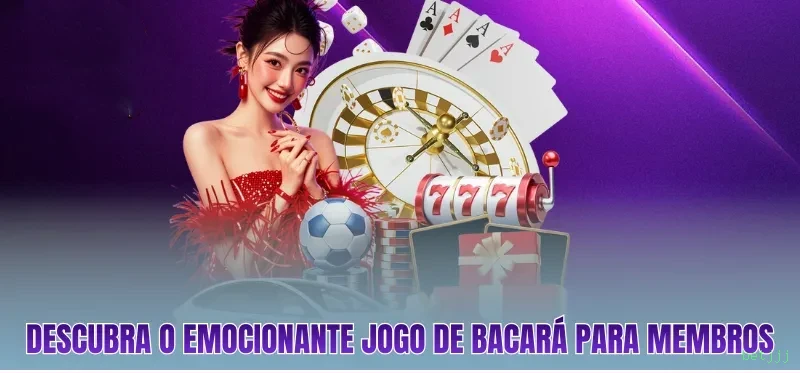 Suporte VIP betjjj - atendimento prioritário
